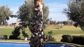 Outdoor pool - La Rose De L'Atlas (Marrakech)