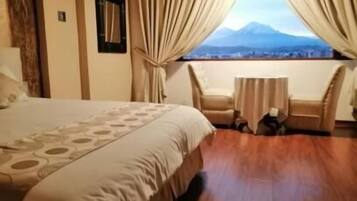 Minibar, desk, iron/ironing board, free WiFi