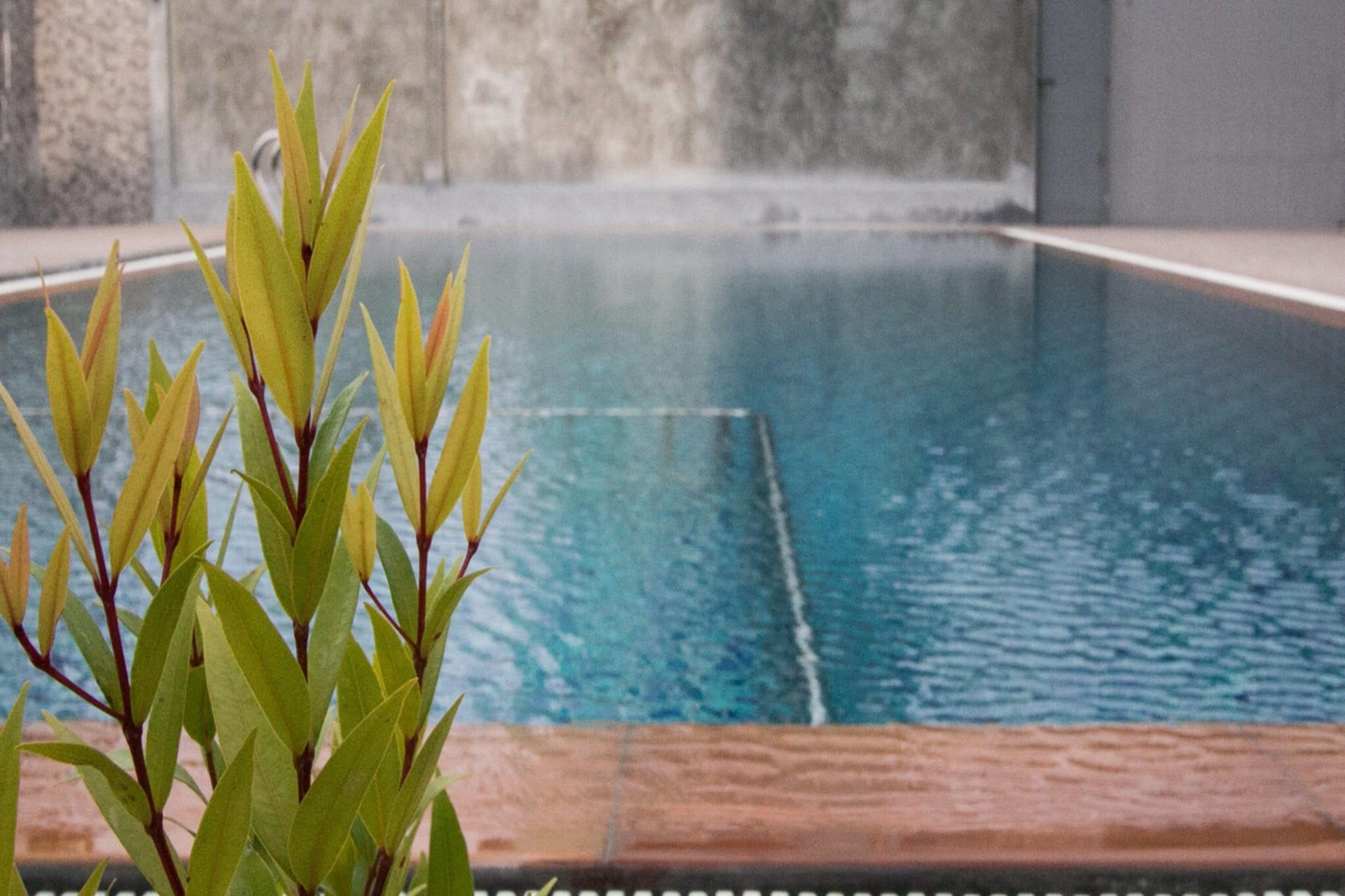 outdoor pool, pool loungers