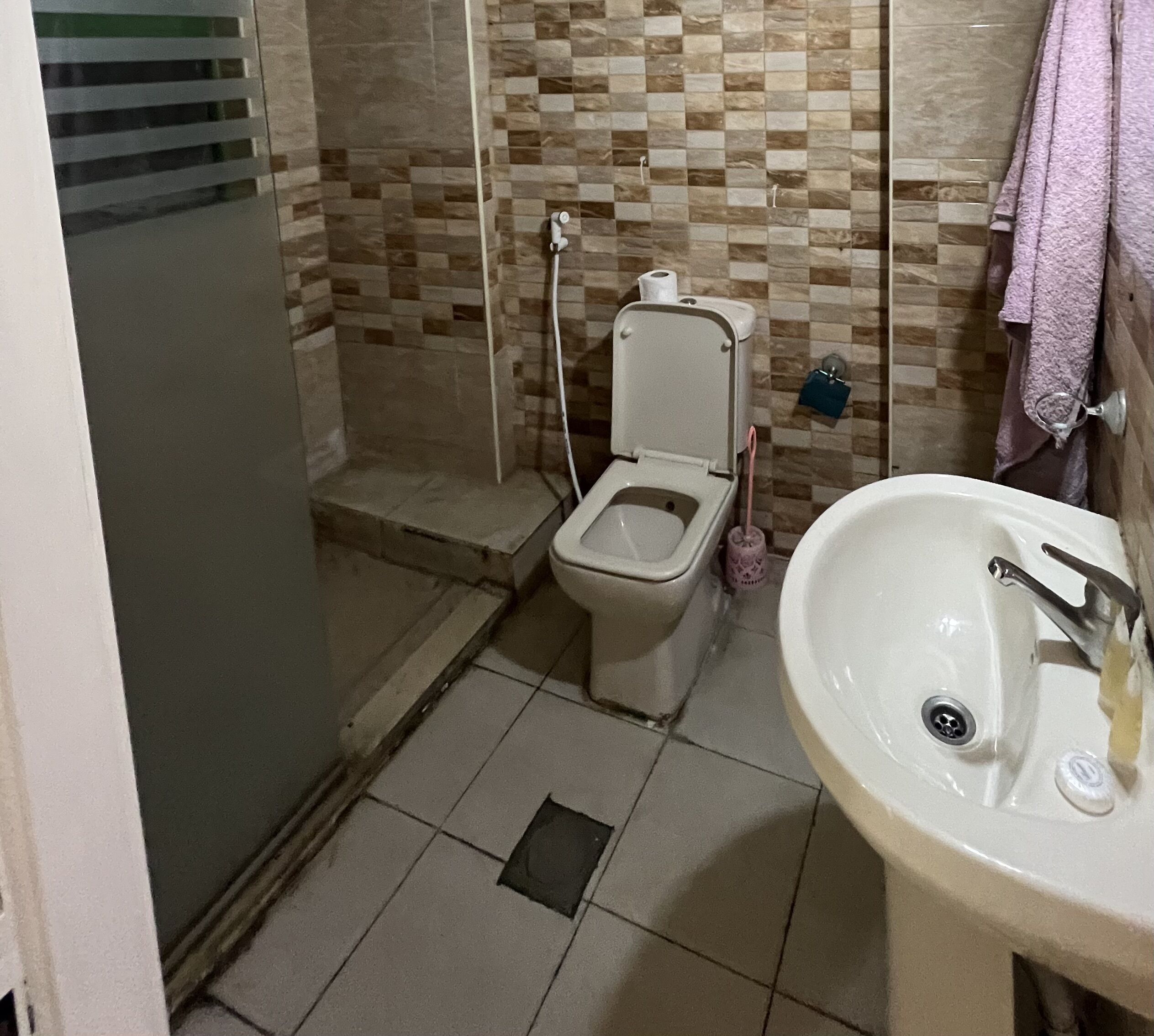 A bathroom with a toilet, a sink, and a shower.