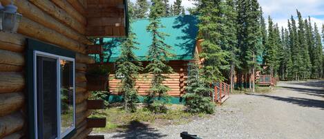 A log cabin with a green roof, surrounded by tall pine trees.