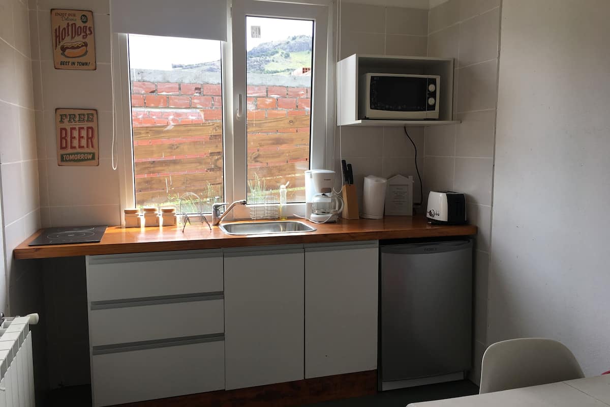 economy apartment, 1 bedroom | private kitchen | full-sized fridge, microwave, toaster, cookware/dishes/utensils