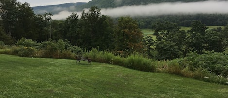 Un champ herbeux avec un banc et, au loin, une colline boisée.