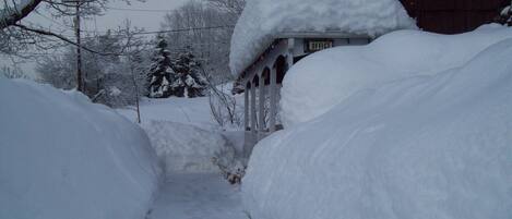 A snow-covered pathway leading to a building labeled "OFFICE" with a butterfly decoration on the wall.