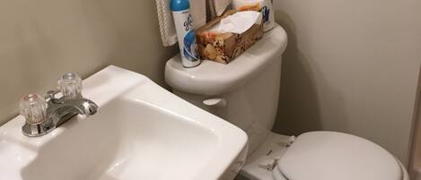 A bathroom with a white sink, toilet, and a glass shelf with toiletries.