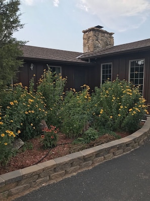 Détail de l’extérieur