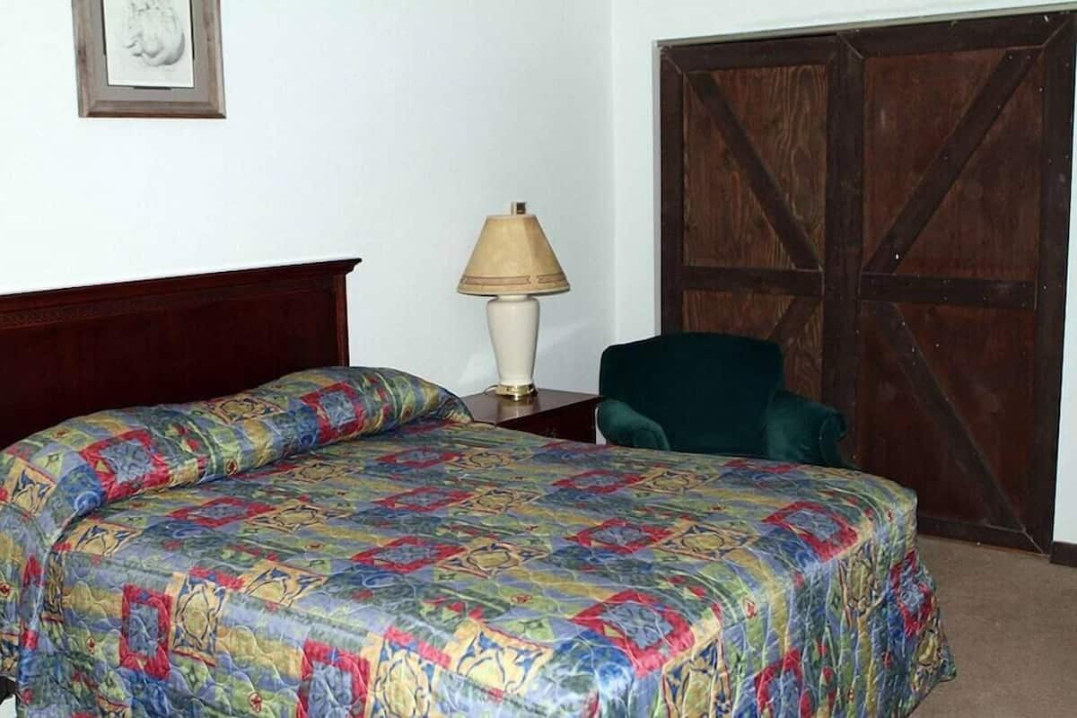 A bed with a patterned bedspread, a bedside lamp, a chair, and a wooden door.