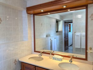 Suite Premium | Lavabo en el baño