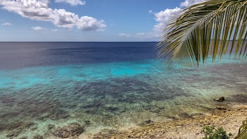 King Suite, Ocean View | Vista a la playa o el mar