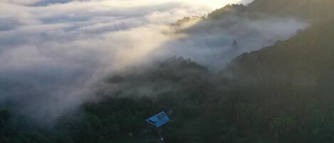 Uma casa isolada, rodeada por floresta densa e montanhas envoltas em névoa.
