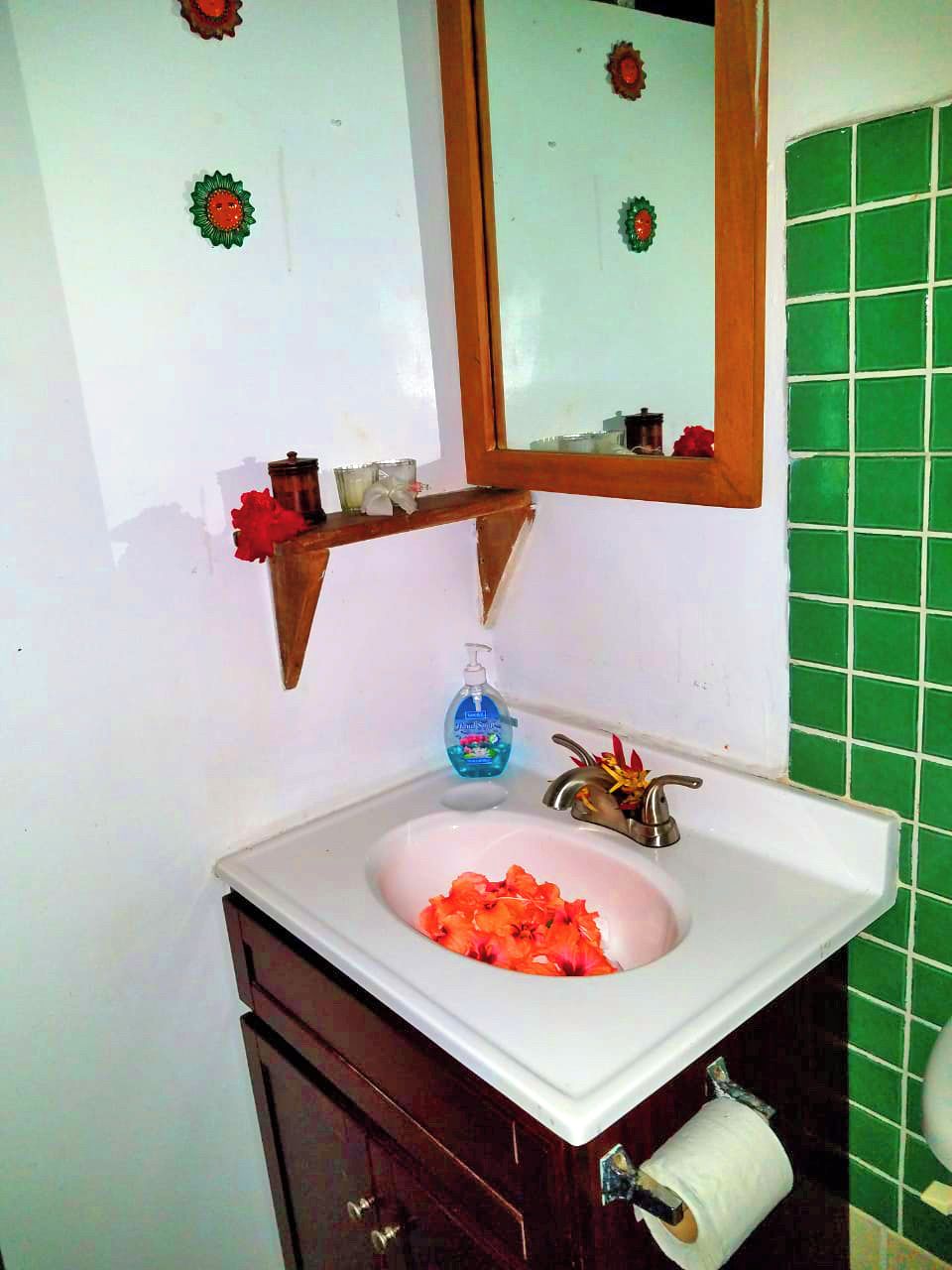 Ein Badezimmer mit einem weißen Waschbecken, einem Spiegel darüber, einer grün gefliesten Wand und einem Holzregal mit Toilettenartikeln.