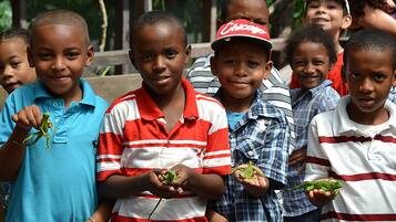 A group of children holding small lizards.