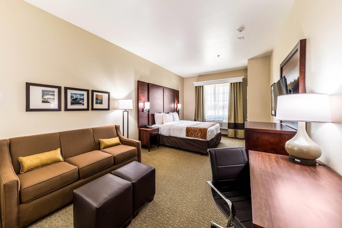 Habitación de hotel con un sofá marrón, una cama, un escritorio y una silla. En la pared hay cuadros enmarcados y una ventana con cortinas.