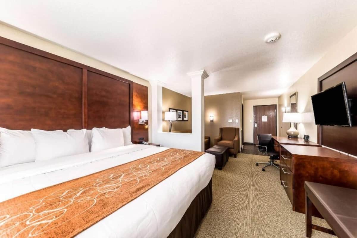 Una habitación de hotel con una cama grande, un escritorio, una silla, un televisor y un pequeño rincón de descanso.