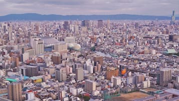 A densely packed urban cityscape with numerous buildings, a prominent dome structure, and a river running through the center.