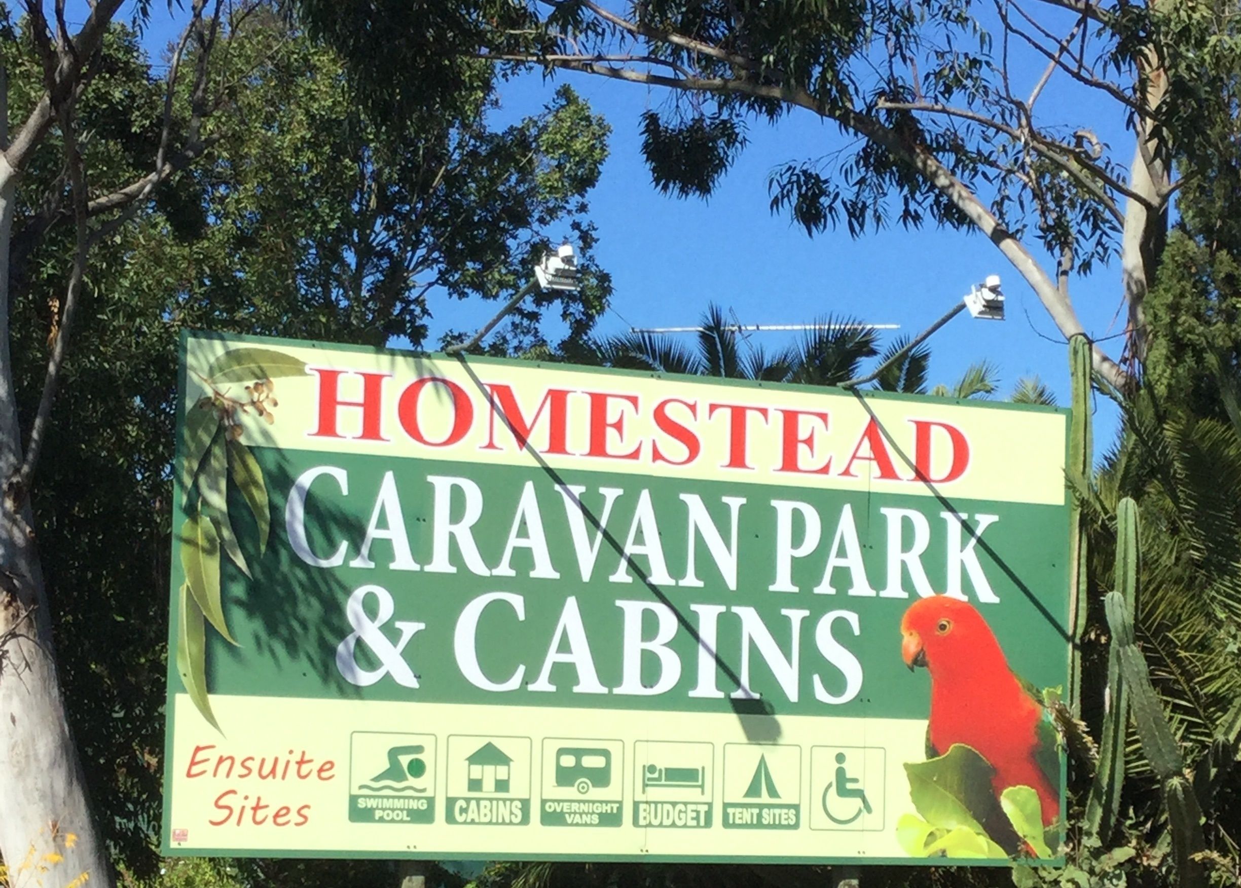 Bordje voor Homestead Caravan Park & Cabins met iconen voor zwembad, bungalows, kampeerwagens voor overnachting, budget en kampeerplaatsen.