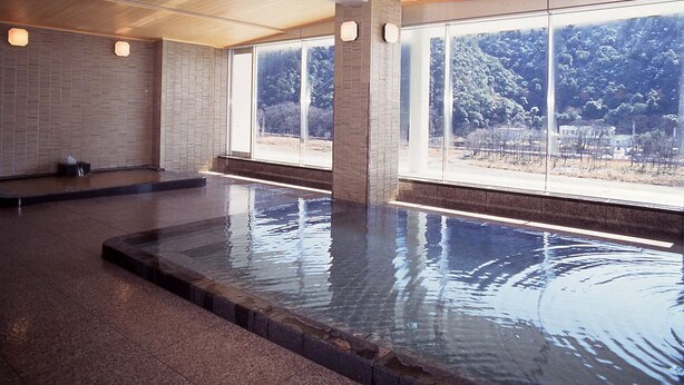 Una gran piscina interior amb vistes clares a una zona boscosa a través de grans finestres.