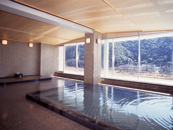 Hot springs - Ushonoie Sugiyama (Gifu)