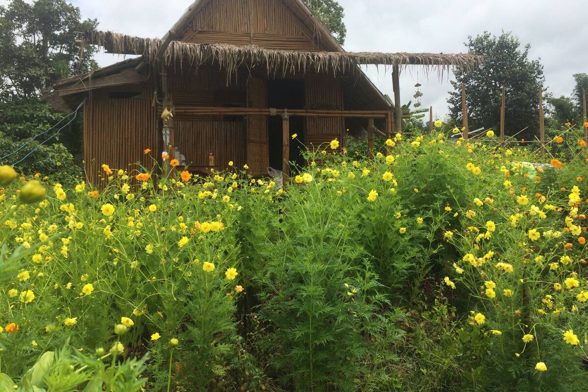 Una casa de madera rústica con techo de paja, rodeada por un campo de flores amarillas.