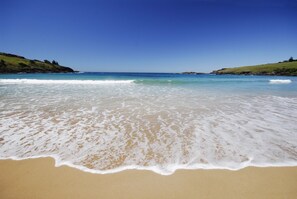A beach with clear blue water, sandy shore, and grassy hills in the background.