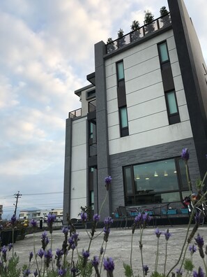 Porch - Early Summer (Luodong)