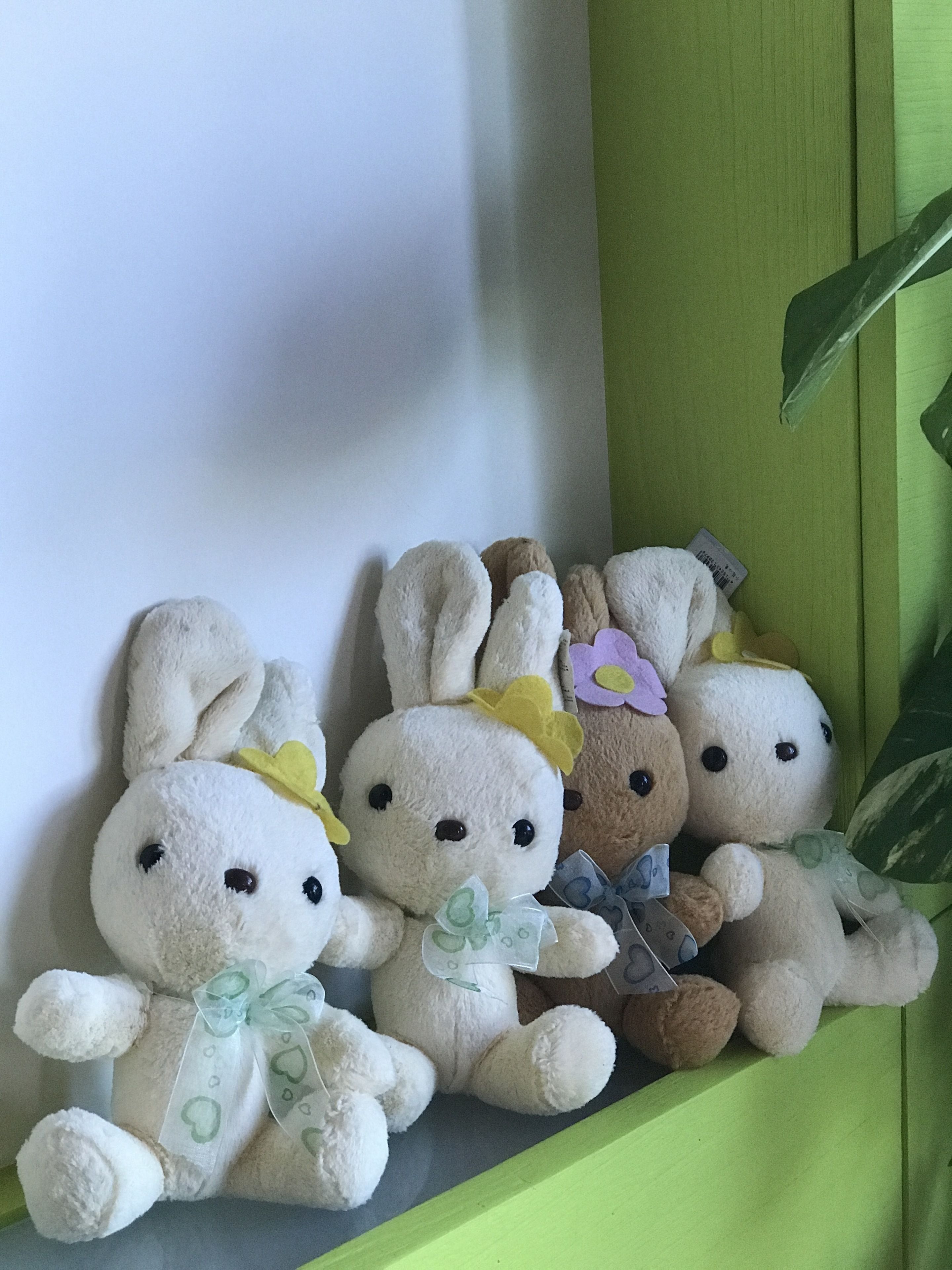 A row of plush bunny toys on a shelf.