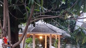 A gazebo with a tiled roof surrounded by lush greenery and potted plants.