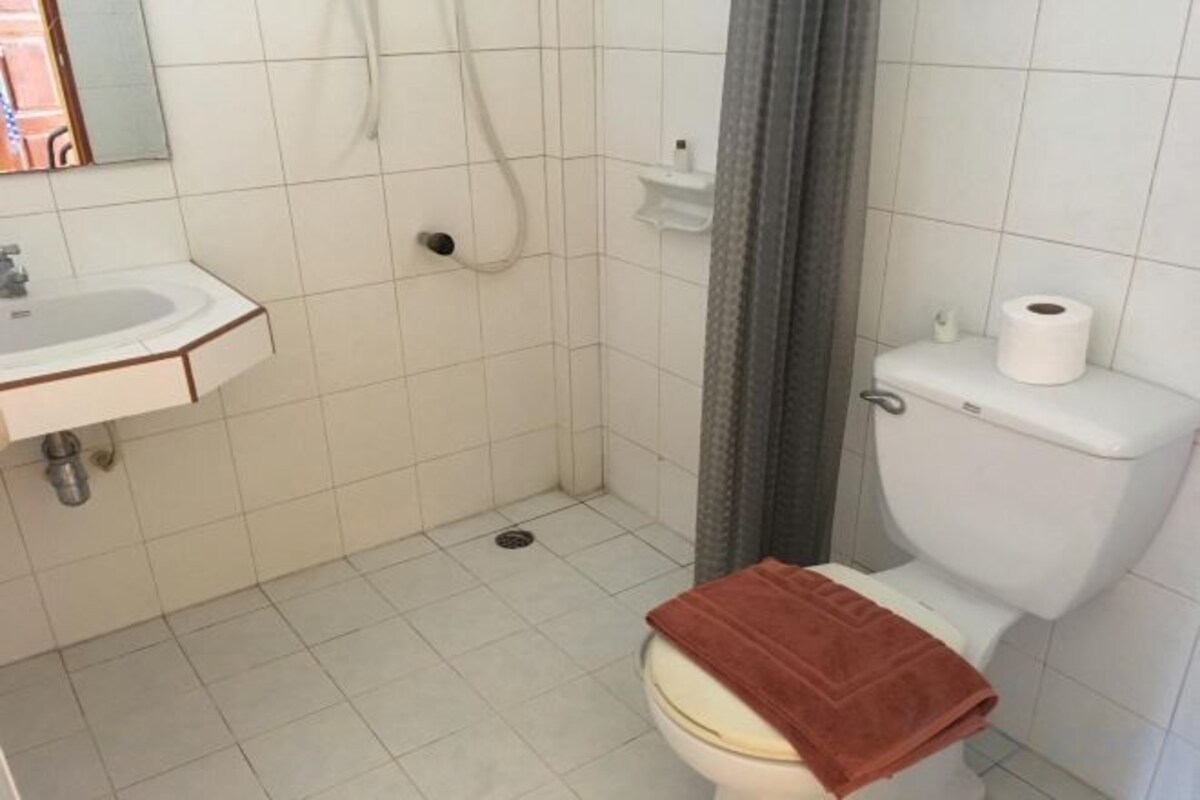 Dusche, Handtücher, Seife, Shampoo