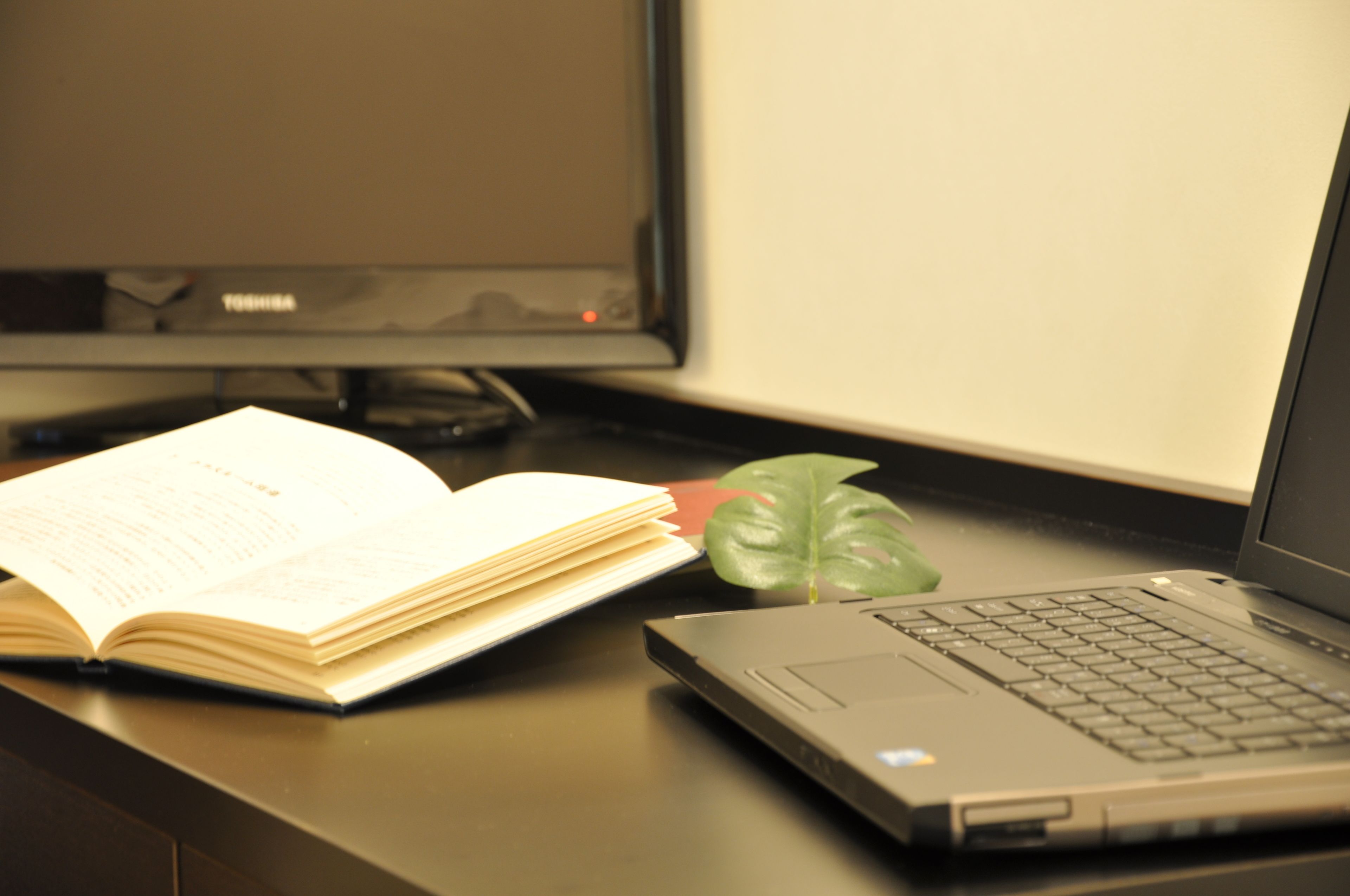 twin room, smoking | in-room safe, desk, laptop workspace, blackout curtains