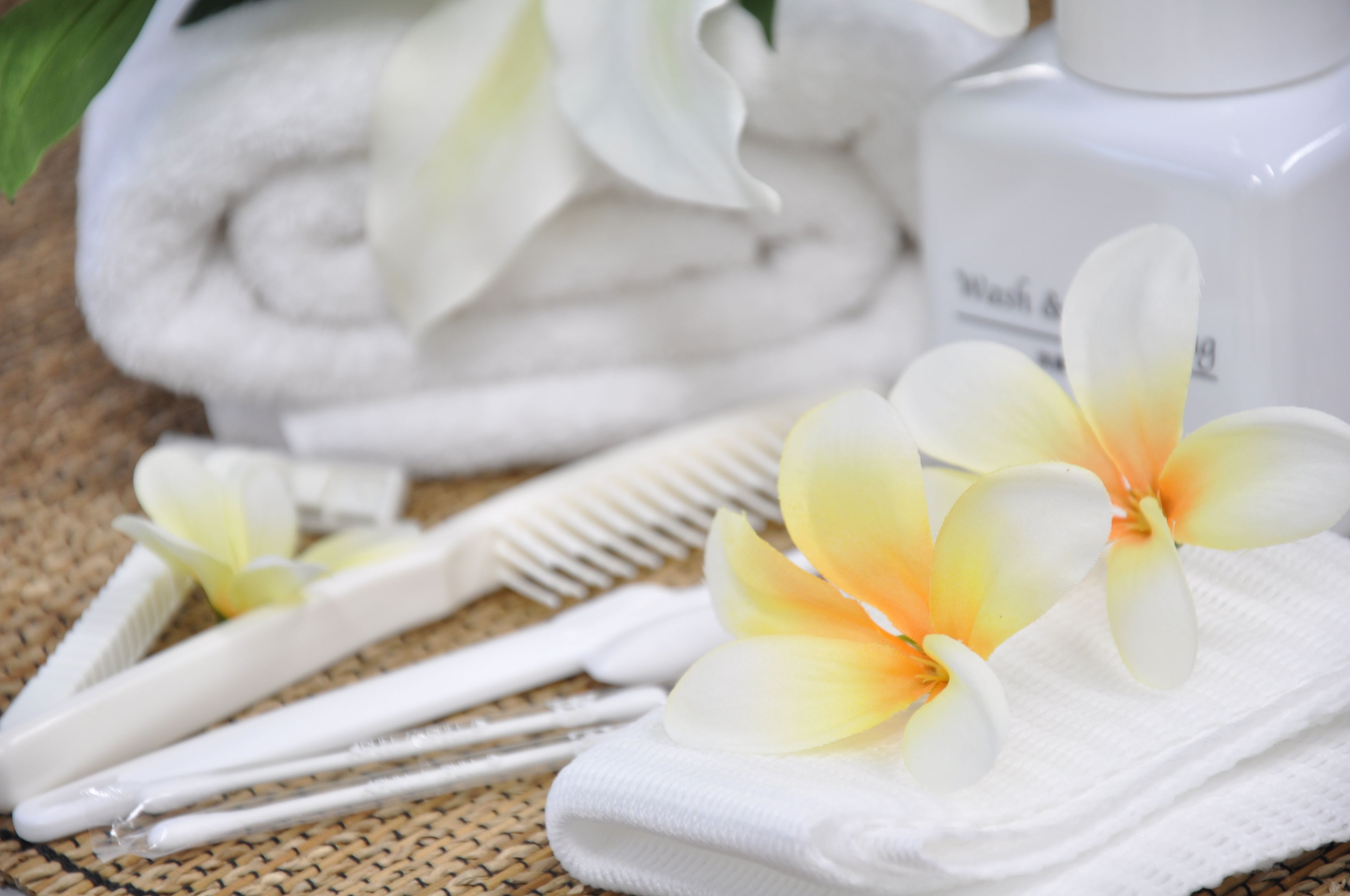 combined shower/bathtub, free toiletries, hair dryer, slippers