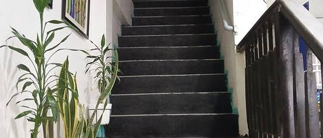 A staircase with black steps leading to an upper floor, flanked by potted plants and framed artwork.