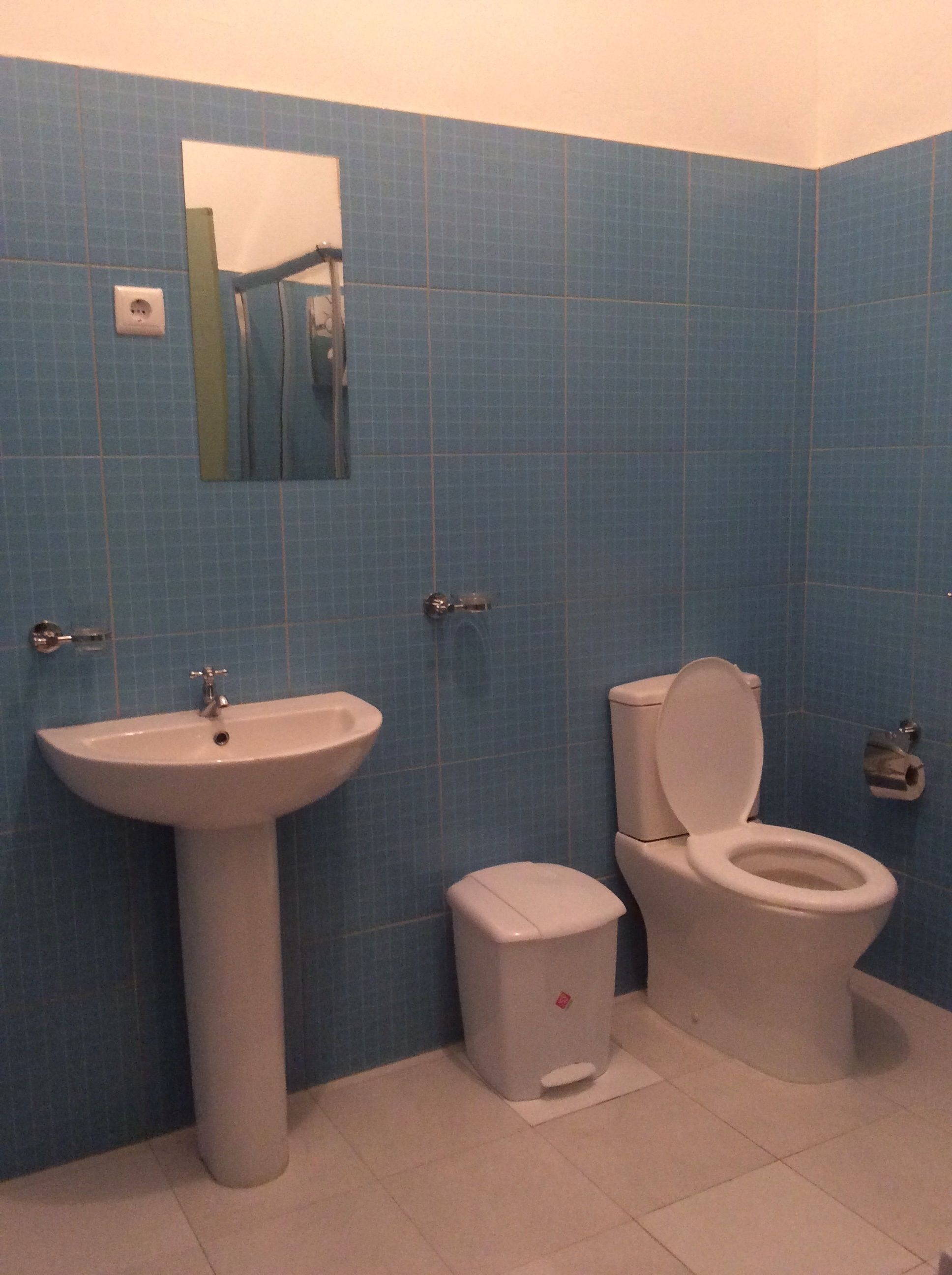 Ein Badezimmer mit einem Standwaschbecken, einer Toilette und einem Mülleimer.