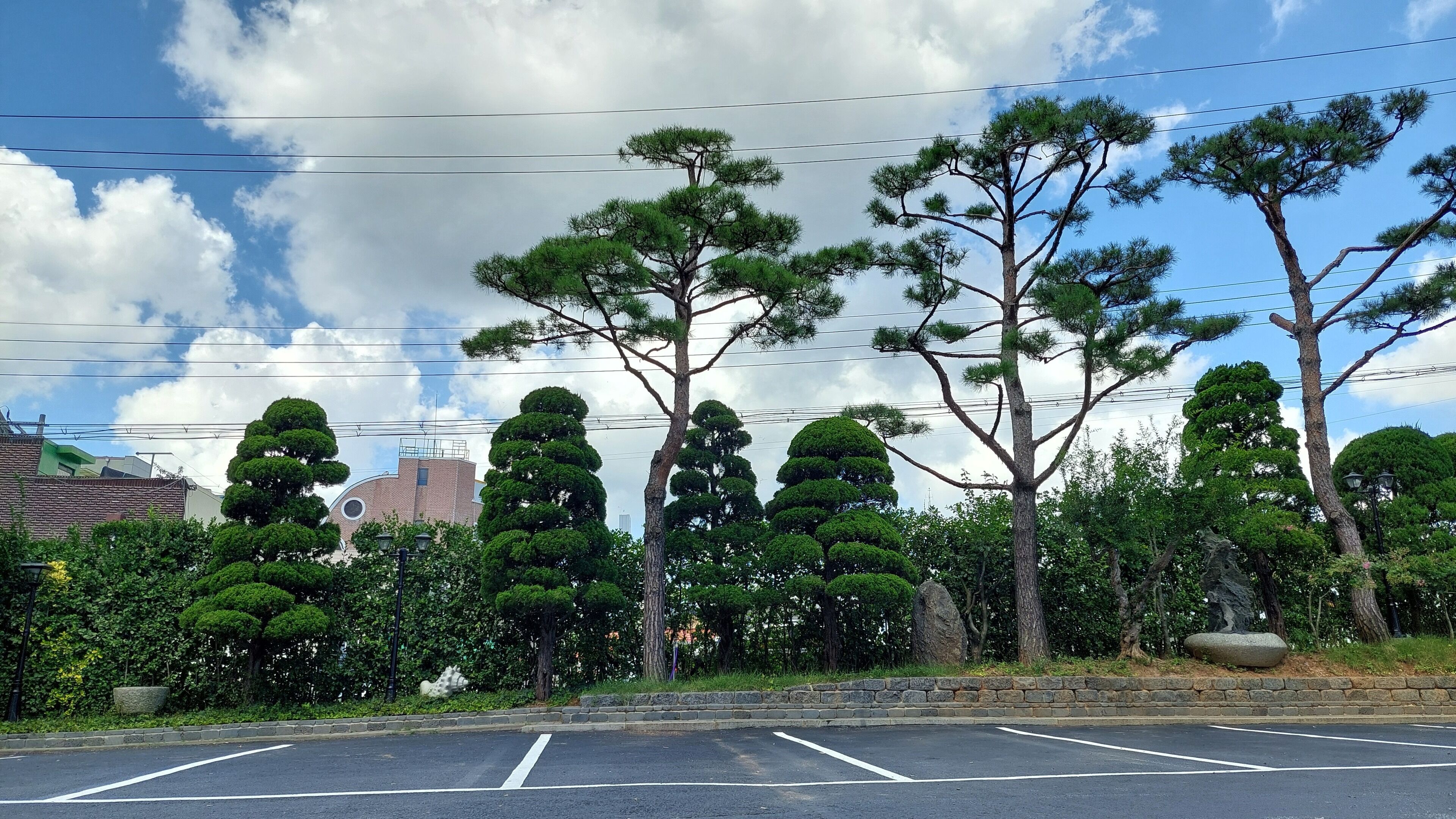 Een parkeerplaats met bomen en een gebouw op de achtergrond.