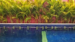 Una piscina con agua azul cristalina, rodeada de exuberantes plantas de palmera y un borde de baldosas.
