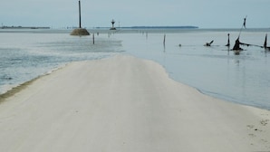 Een strand met een zandstrand, enkele houten palen en een eiland in de verte.