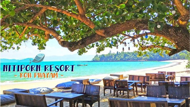 Une zone de détente avec tables et chaises, située au bord de la plage, dans le complexe Nitiporn Resort Koh Phayam, et abritée par un grand arbre.