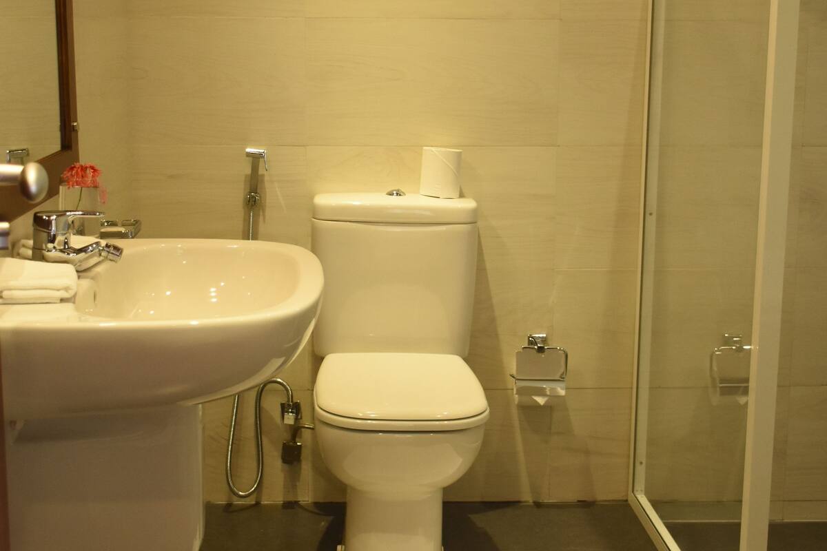 shower, free toiletries, hair dryer, towels