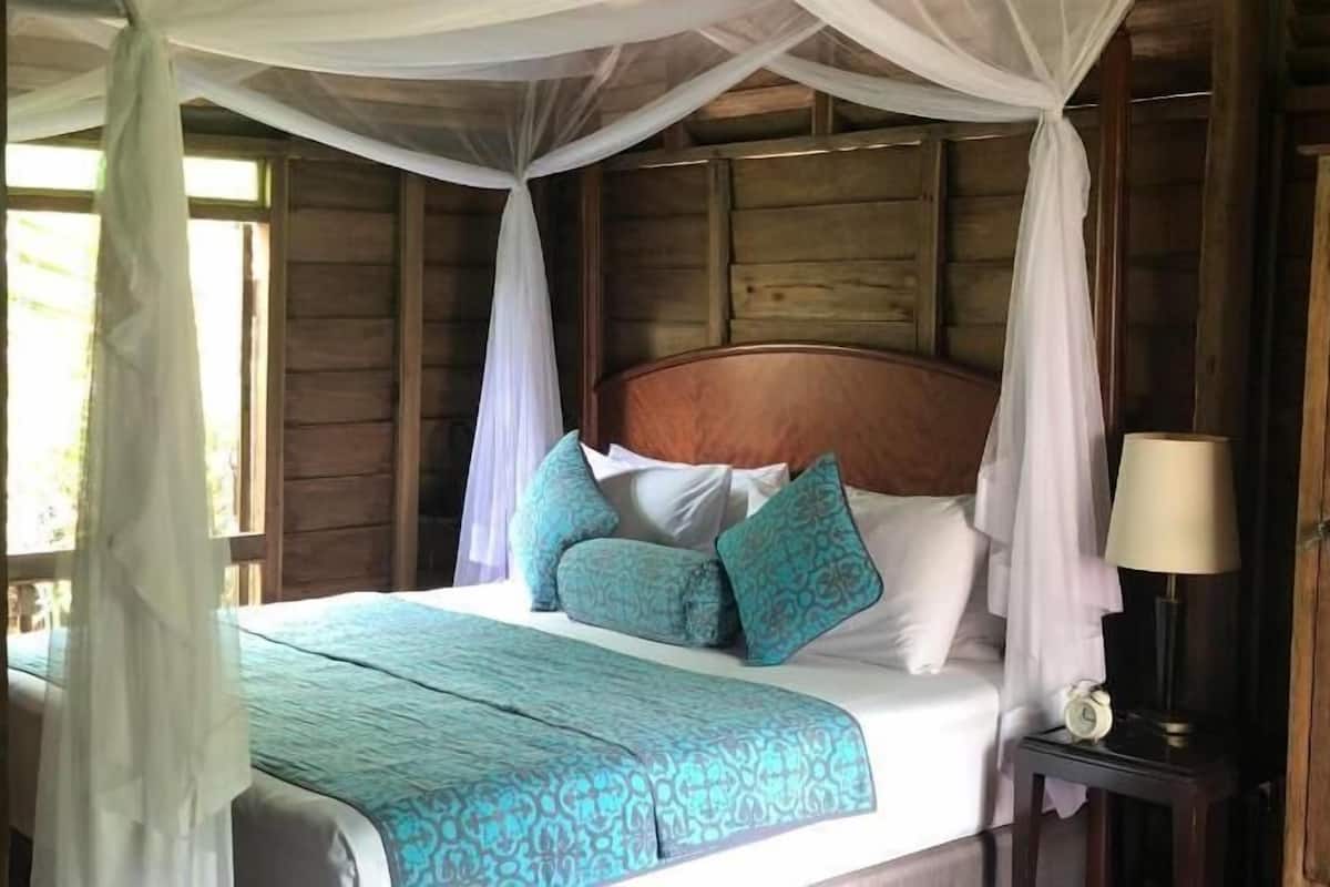 A wooden room with a bed, a nightstand, and a lamp.