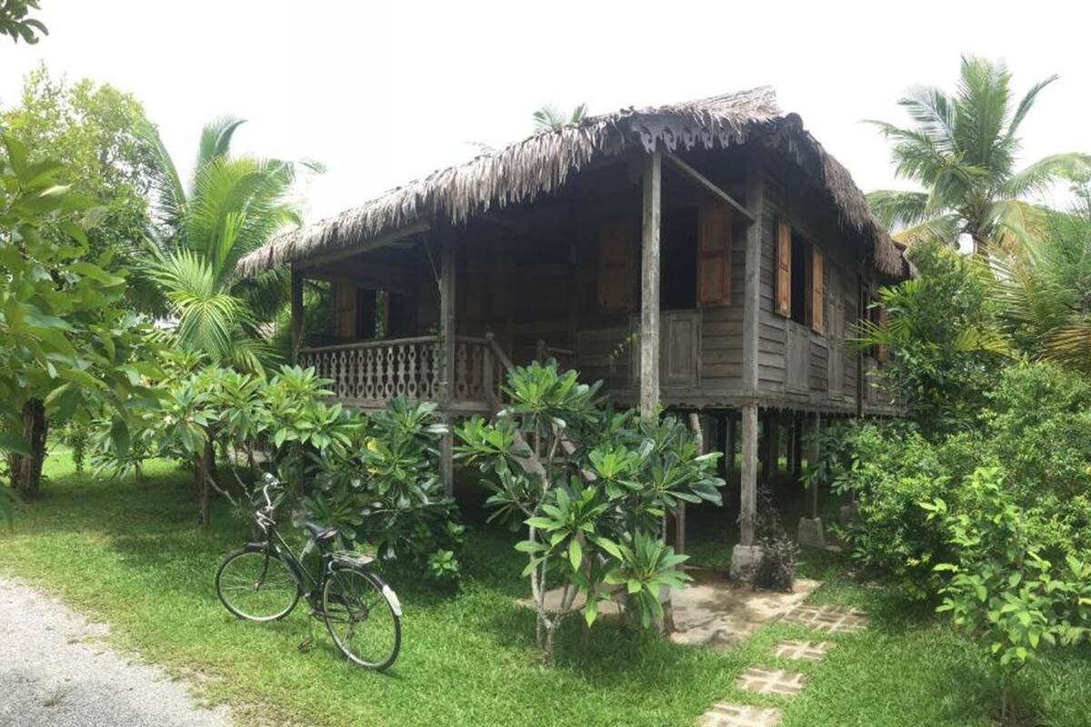 A wooden house with a thatched roof, surrounded by lush greenery and a bicycle parked in front.