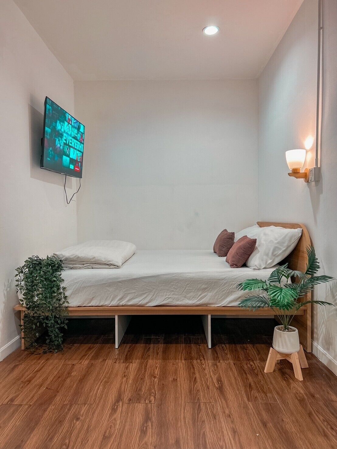 A small, modern bedroom with a wooden bed, a mounted TV, a bedside lamp, and a potted plant.