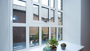 A window with multiple panes, a small potted plant, and a cactus on a white ledge. - The London Agent Spitalfields (London)