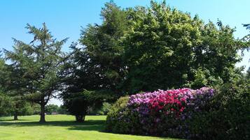 A well-maintained garden with a large tree and a bush of pink and purple flowers.