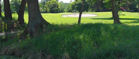A golf course with a sand bunker, trees, and a clear sky.