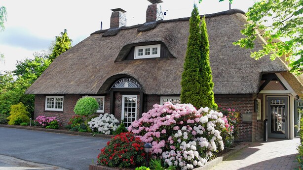 A traditional thatched-roof cottage with a brick facade, a central arched window, and a small door. - Hotel Blauer Fasan (Wiesmoor)