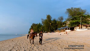 A sandy beach with a horse and rider, palm trees, and a building with a sign. - W Home Cipete (Jakarta)