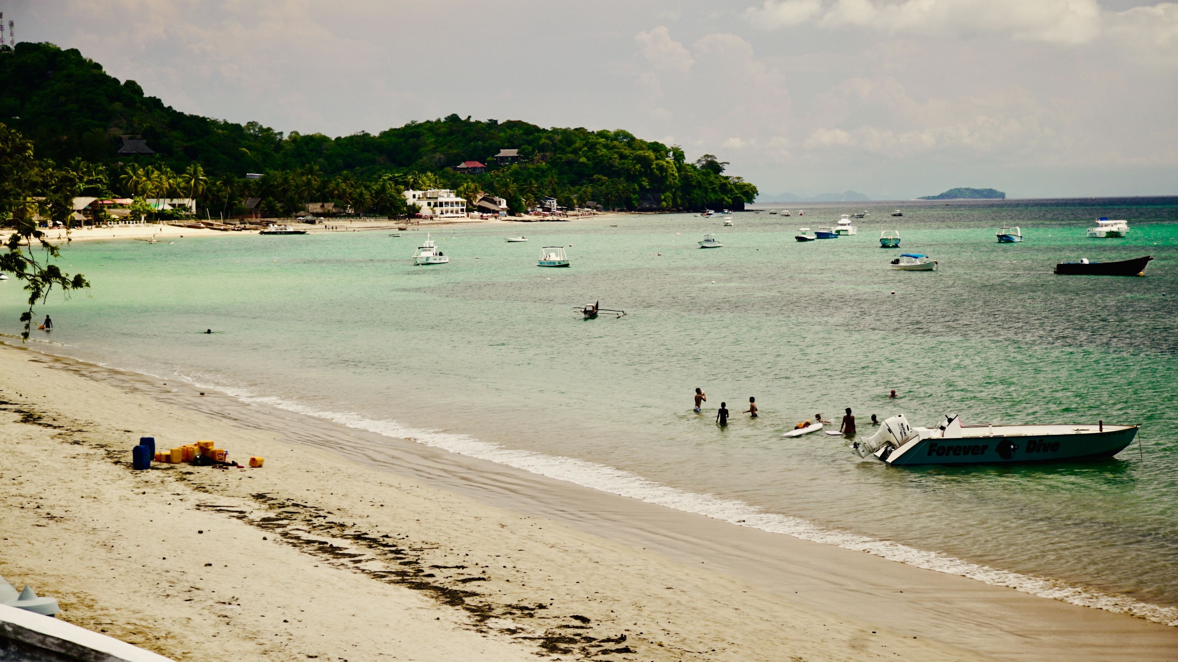 Une plage avec des bateaux, une rive sablonneuse et une colline boisée en arrière-plan.