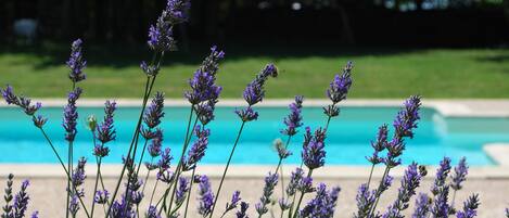 Seasonal outdoor pool