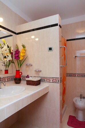 Une salle de bain avec un lavabo, un miroir et une douche.