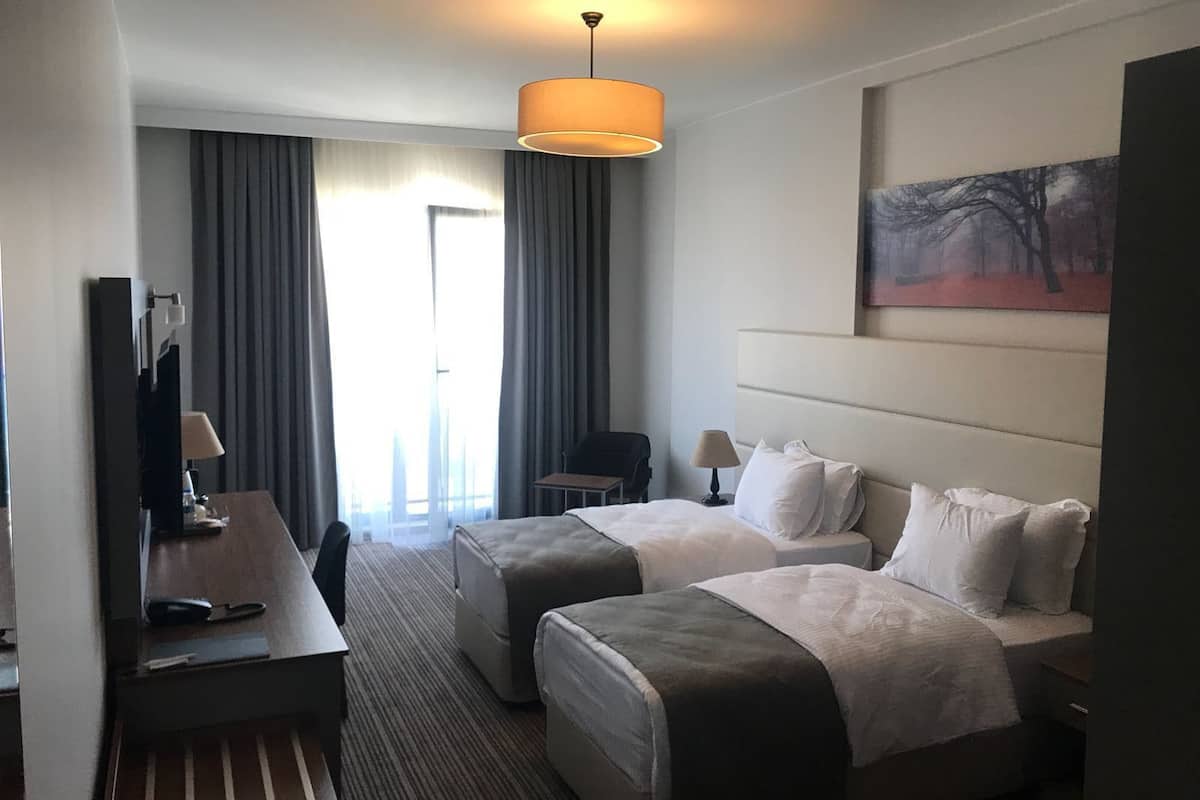 Standard tvåbäddsrum | 1 sovrum, minibar, värdeförvaringsskåp på rummet och skrivbord