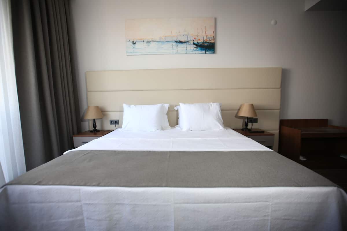 Standard Double Room Single Use